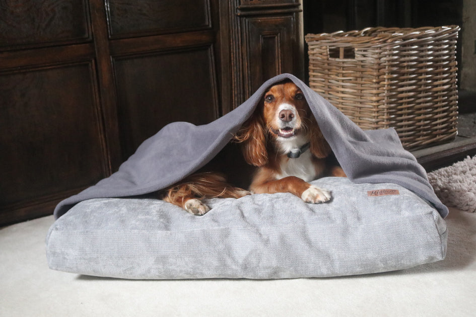 Miaboo Burrow Dog Beds Miaboo